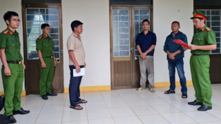 Thưởng người rừng hái đất trồng keo, lĩnh án tù