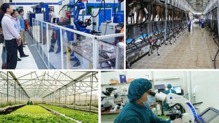 Cần chính sách đặc thù, vượt trội cho khoa học công nghệ và đổi mới sáng tạo