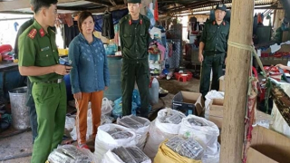 Chuyện trấn áp tội phạm hình sự ở Quảng Nam