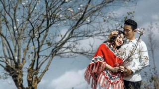 Tìm em - trong tình yêu đất nước!