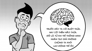 Phỏng vấn một giáo sư