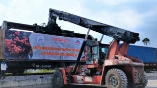 Đường sắt vận chuyển thử nghiệm thành công lô vải thiều tươi xuất khẩu