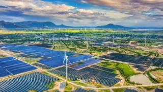 66/85 dự án năng lượng tái tạo chuyển tiếp gửi hồ sơ đàm phán giá điện