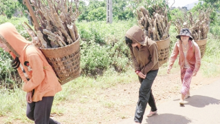 Chiếc gùi bầu trời nắng tươi