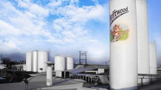 Ngành sữa tiến ra sân chơi thế giới, tận dụng tối đa cơ hội và lợi thế