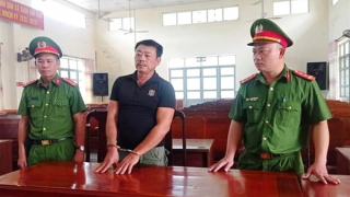 Trộm hơn 4,6 ha rừng keo của người khác để…  bán