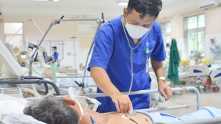 Hai người hôn mê sâu vì ăn so biển