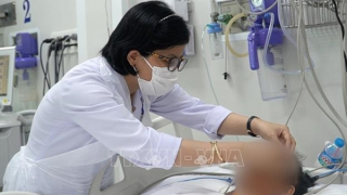 Chuyên gia khuyến cáo cần thận trọng khi sử dụng nấm rừng làm thức ăn