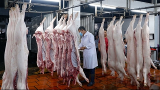 Vì sao doanh nghiệp ngại đầu tư cơ sở giết mổ gia súc?