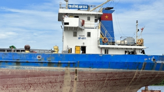 Cả xã mất điện vì tàu vướng dây điện trung thế