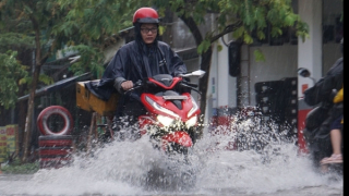 Miền Bắc đón đợt mưa “vàng” giải nhiệt