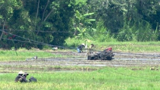 Cuộc sống ở Cư Kuin đã bình yên trở lại!