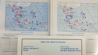 Chế tài xử phạt đã đủ mạnh? (Bài cuối)