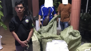 Phát hiện 2 xe ô tô vận chuyển 19.000 gói thuốc lá nhập lậu