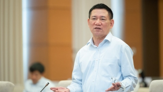 Xử lý doanh nghiệp lừa đảo: Hàng nghìn sổ đỏ của dân ai giải quyết?