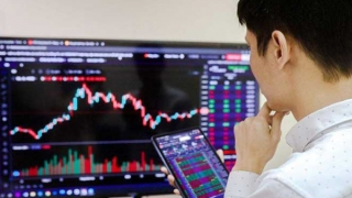 Nở rộ bẫy lừa đầu tư chứng khoán