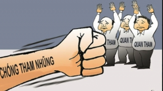 Sơ kết 1 năm hoạt động của Ban Chỉ đạo phòng, chống tham nhũng, tiêu cực tỉnh, thành phố