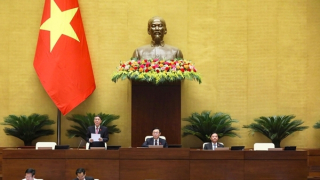 Hạn chế giảm dần và chấm dứt tình trạng sở hữu chéo giữa hợp tác xã