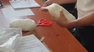 Gần 1.800 gam ma túy đá chuyển phát nhanh từ Mỹ về Việt Nam