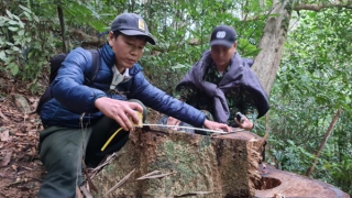 Ngược rừng lần theo dấu vết “lâm tặc”