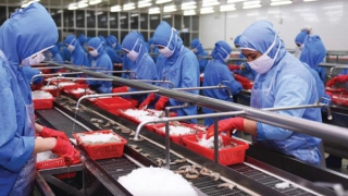 Khắc phục khó khăn để khai thác dư địa của thị trường Trung Quốc