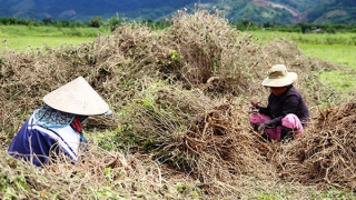 Nhiều chương trình, dự án giúp người dân miền núi A Lưới thoát nghèo