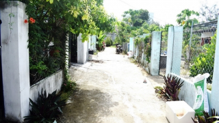 Thuê đất nông nghiệp do xã quản lý rồi... phân lô bán nền