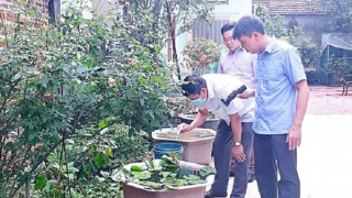 Sốt xuất huyết vẫn diễn biến khó lường