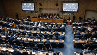 Việt Nam lên án khủng bố dưới bất cứ hình thức nào