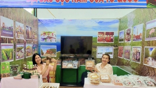 Cà Mau tăng trưởng kinh tế đứng thứ 2 vùng Đồng bằng sông Cửu Long