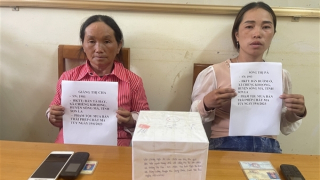 Đang “giao hàng” ở Mù Cang Chải thì bị bắt