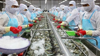 Số doanh nghiệp gia nhập và tái nhập thị trường đạt mức cao nhất