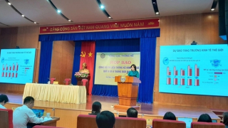 GDP 6 tháng tăng 3,72%