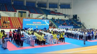 Bình Dương đạt 6 huy chương vàng tại Giải vô địch Karate miền Nam năm 2023