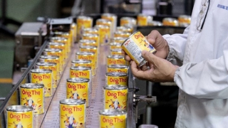 Sữa Ông Thọ: “Mang chuông đi đánh xứ người”