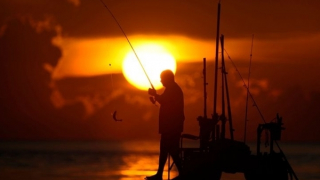 Hơn trăm người chết vì nắng nóng tại Mỹ và Mexico