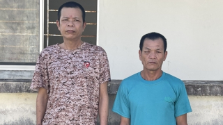 Bắt tạm giam 2 đối tượng hủy hoại rừng ở Phú Quốc