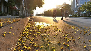 Miền Bắc và Trung Bộ 38 độ C, tối có mưa rào