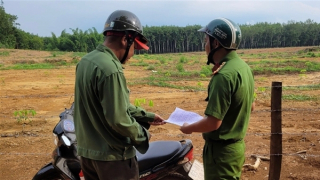 Vườn cao su của một người dân bị huỷ hoại, nghi bị trả thù