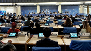 Việt Nam tham dự Phiên họp lần thứ 43 Hội nghị cấp Bộ trưởng của FAO