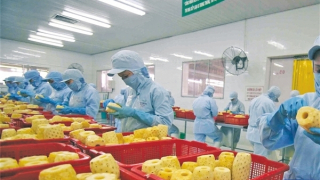 Xuất khẩu rau quả tăng cao nhất lịch sử