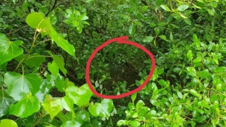 Tìm thấy thi thể người đàn ông mất tích 45 ngày