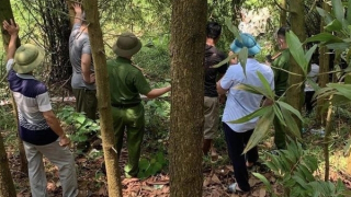 Nữ sinh tử vong ở hồ Núi Cốc không bị tác động bởi ngoại lực