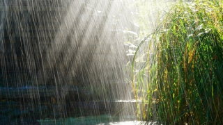 Vùng núi Bắc Bộ sáng và đêm mưa to, Hà Nội trời nóng