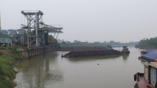 Rà soát, xử lý nghiêm bến thủy nội địa hoạt động không phép