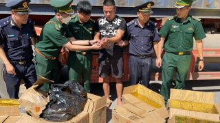 Xe đầu kéo rơ móoc vận chuyển pháo lậu cùng hơn 2 tấn gỗ trắc qua biên giới