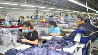 Hơn 540 doanh nghiệp tại Đà Nẵng bị thu hồi giấy chứng nhận đăng ký