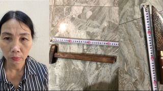 Con dâu sát hại bố chồng và chồng rồi tự tử bất thành