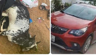 Ra lệnh tạm giam 3 cựu cán bộ Công an huyện Mỹ Đức vì trộm cắp tài sản