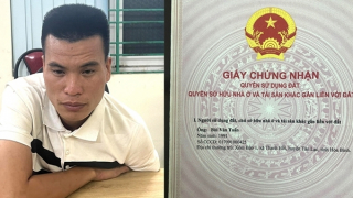 Làm sổ đỏ giả, lừa bán đất rừng chiếm đoạt tiền tỷ